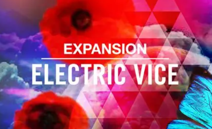 Native Instruments ELECTRIC VICE